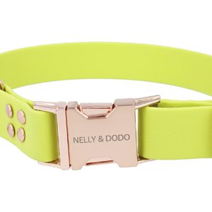kiwi green dog collar