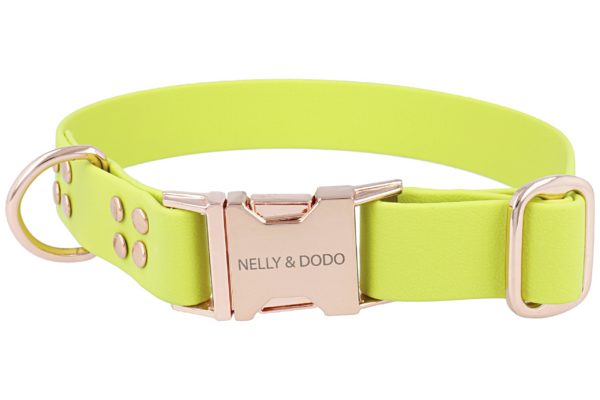 kiwi green dog collar